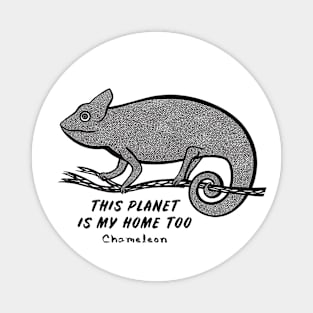 Chameleon - This Planet is My Home Too - animal on white Magnet